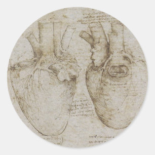 Da Vincis menschliche Herz-Anatomie-Skizzen Runder Aufkleber