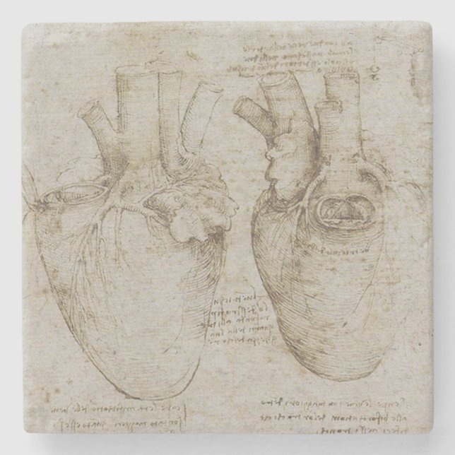 Da Vincis menschliche Herz-Anatomie Steinuntersetzer (Vorderseite)