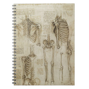 Da Vincis menschliche Skeleton Anatomie-Skizzen Notizblock