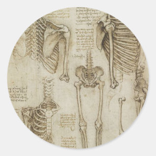 Da Vincis menschliche Skeleton Anatomie-Skizzen Runder Aufkleber