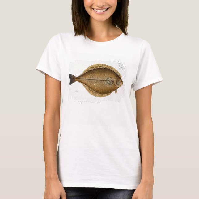 Dab (Pleuronectes Limanda) Platte XLVI von 'Ichthy T-Shirt (Vorderseite)