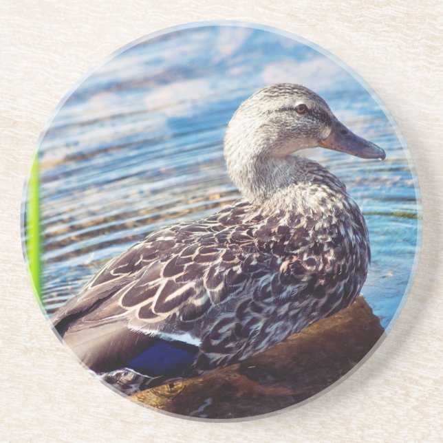 Dabbling Ripples Untersetzer (Vorne)