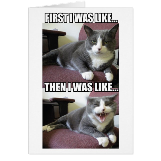 D'Abord, J'Étais Comme... (Devant)