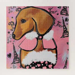 Dachshund
