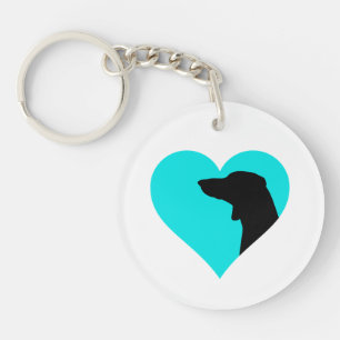 Dachshund