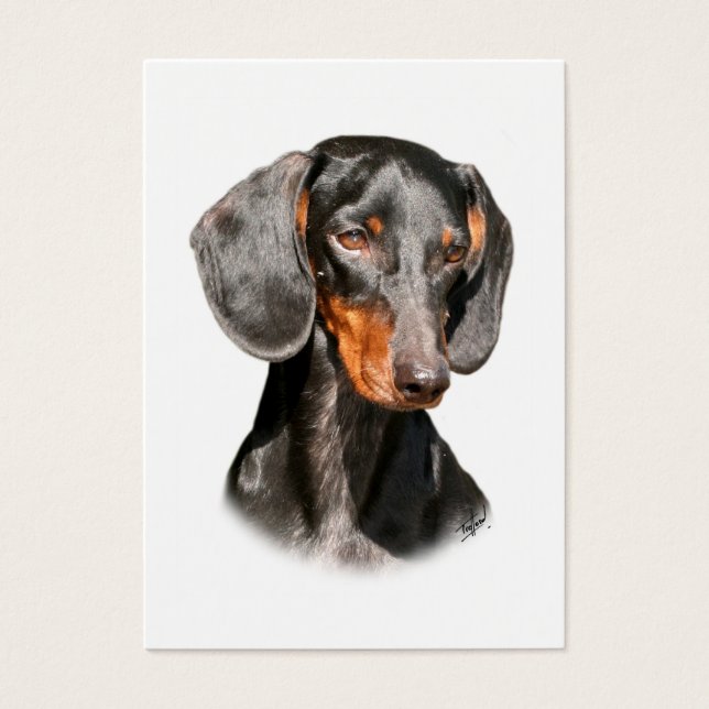 Dachshund 9Y420D-096a (Devant)