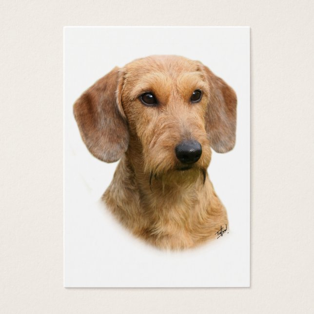 Dachshund 9Y426D-207-2 (Devant)