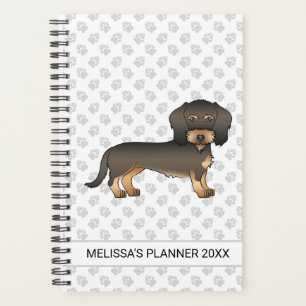 Dachshund à poil dur sanglier Dessin animé Chien &