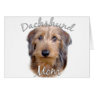Dachshund (à poils durs) Maman 2