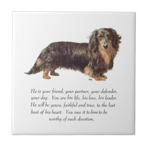 Dachshund-Andenken - Männlich Fliese
