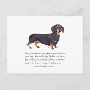 Dachshund-Andenken - Männlich Postkarte
