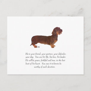 Dachshund-Andenken - Männlich Postkarte