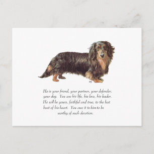 Dachshund-Andenken - Männlich Postkarte