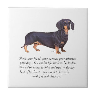 Dachshund-Andenken - Weiblich Fliese