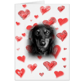 Dachshund avec carte Red Hearts