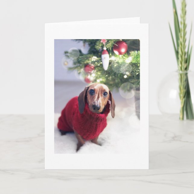 Dachshund avec la carte de Noël Arbre de Noël (Devant)