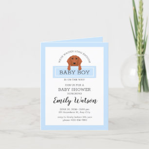 Dachshund Baby shower Invitation garçon