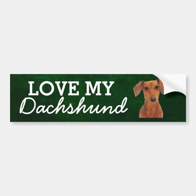 Dachshund bumper sticker autoaufkleber (Vorne)