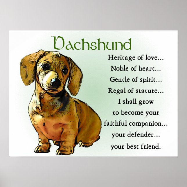 Dachshund Cadeaux Dachshund Affiches Imprimantes (Devant)