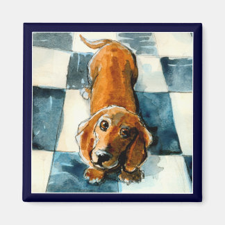 Dachshund chien amusant aimant