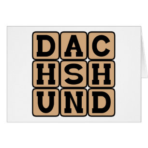 Dachshund, Chien Wiener
