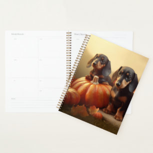 Dachshund Chiot Automne Citrouille de plaisir