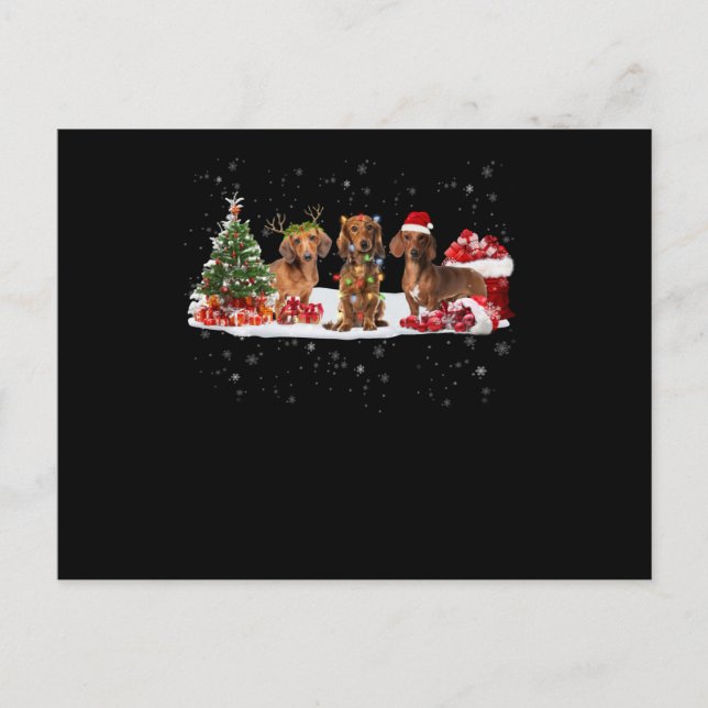 Dachshund christmas lights gift for her postkarte (Vorderseite)