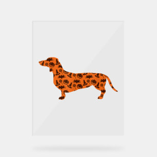 Dachshund Citrouille Witch Bat Drôle Halloween Éff