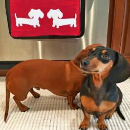 Dachshund Cuisine Plat serviette gaufre