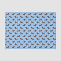 Dachshund Dog