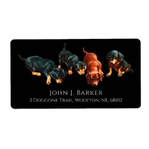 Dachshund Doxie Wursthund Wiener Welpen