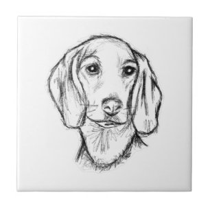 Dachshund Drawn Sketch Black Puppy Dog Fliese