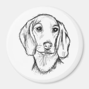 Dachshund Drawn Sketch Black Puppy Dog Magnet