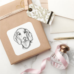 Dachshund Drawn Sketch Black Puppy Dog Quadratischer Aufkleber