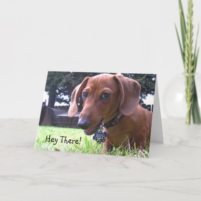Dachshund Grüße Karte (Vorderseite)