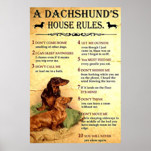 Dachshund House Rules Poster Cadeau pour Hommes Fe
