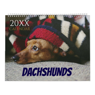 Dachshund-Hund 2027 Foto-Wand Kalender
