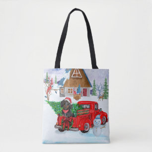 Dachshund-Hund im Weihnachtslieferwagen Schnee Tasche