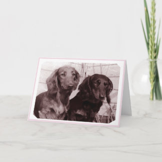 Dachshund-Hundekarte Karte