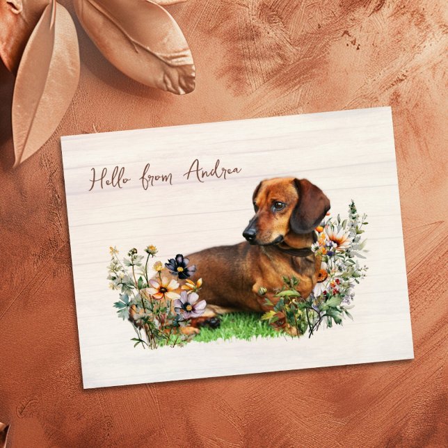 Dachshund in Wildblumen Hallo von Postkarte (Von Creator hochgeladen)