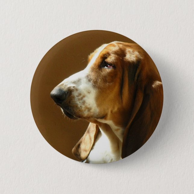 Dachshund-Jagdhund-Foto-Knopf Button (Vorderseite)