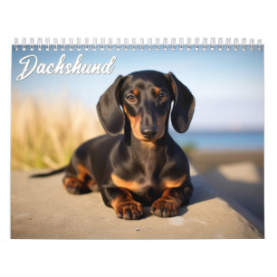 Dachshund Kalender