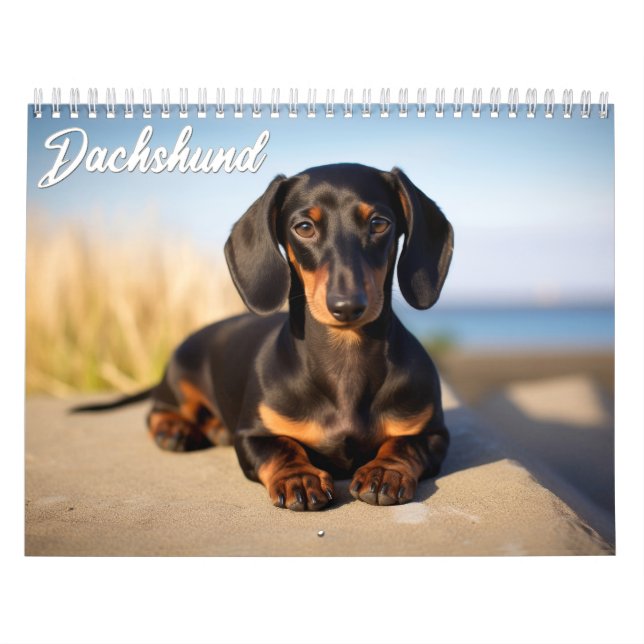 Dachshund Kalender (Titelbild)