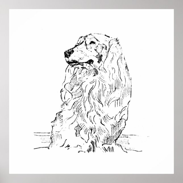 Dachshund – Langhaariger Dackel Poster (Vorne)