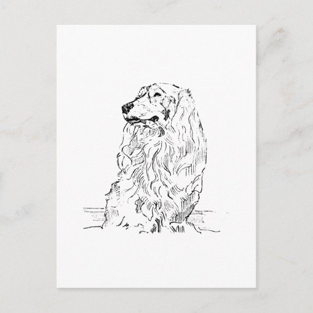 Dachshund – Langhaariger Dackel Postkarte (Vorderseite)