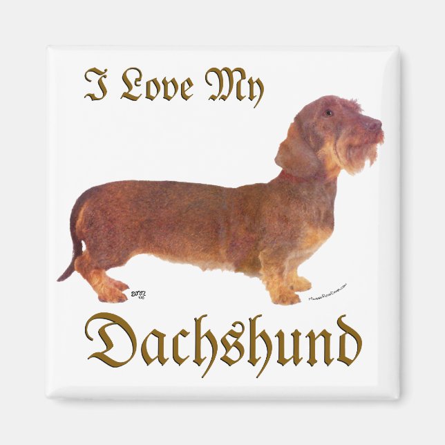 Dachshund Liebe Magnet (Vorne)