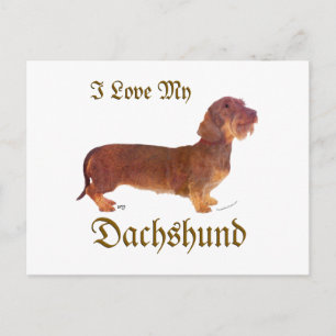 Dachshund Liebe Postkarte