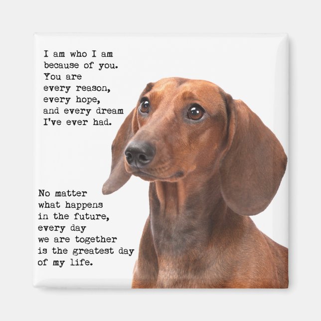 Dachshund Magnet (Devant)