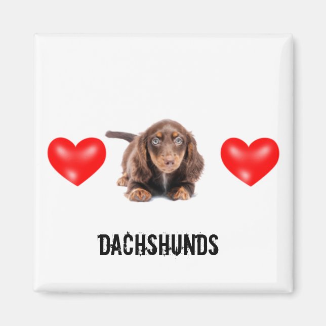 Dachshund Magnet (Devant)