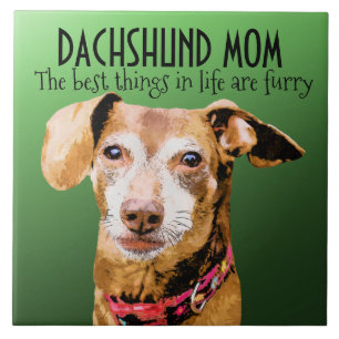 Dachshund Maman Carreaux céramiques